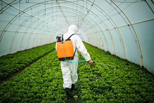 Best Pest Removal Services  in Everman, TX