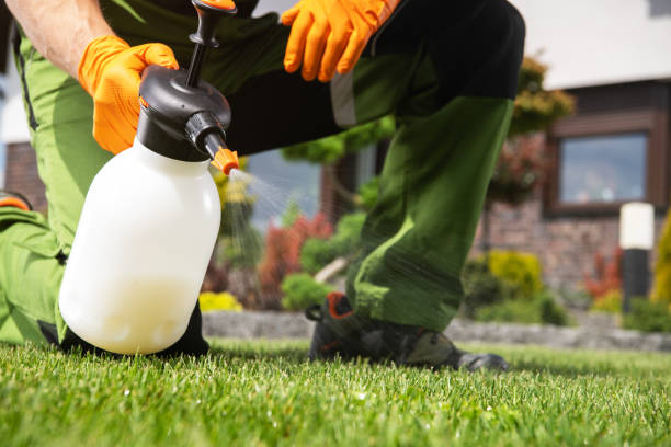 Best Termite Control Services  in Everman, TX