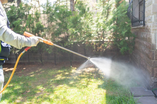 Best Emergency Pest Control  in Everman, TX